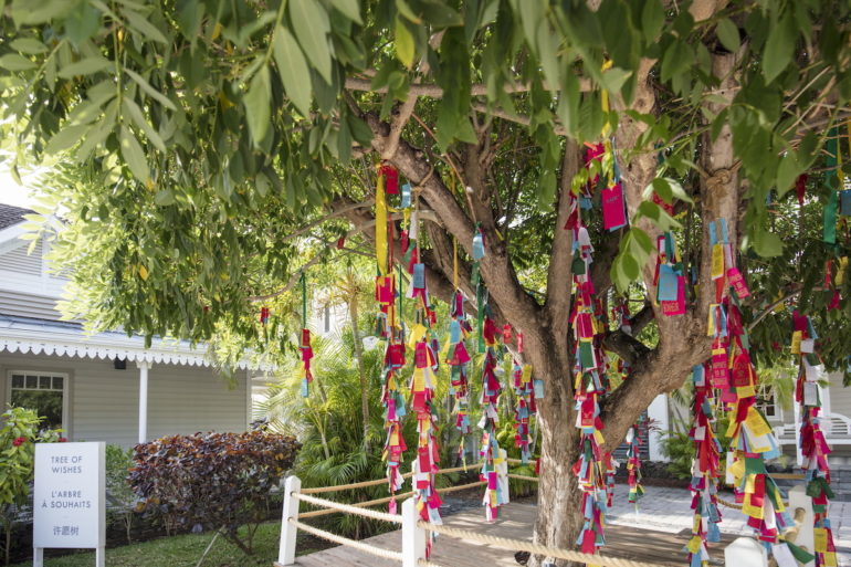 LUX* Tree of wishes Saint Gilles, La Réunion