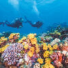 Reisepodcast #66 Tropical North Queensland